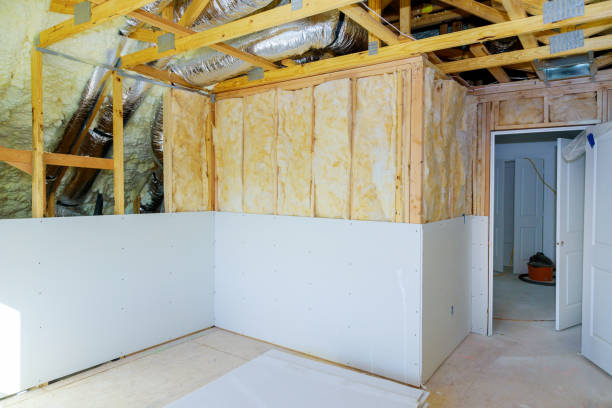 Best Geographic-Specific Insulation Services in Collins, MS