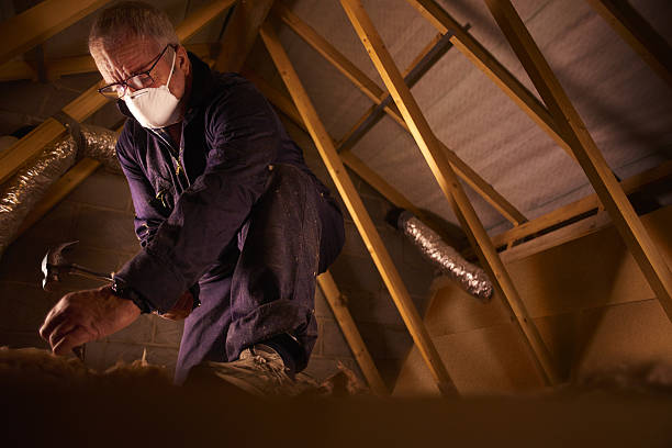 Best Spray Foam Insulation in Collins, MS