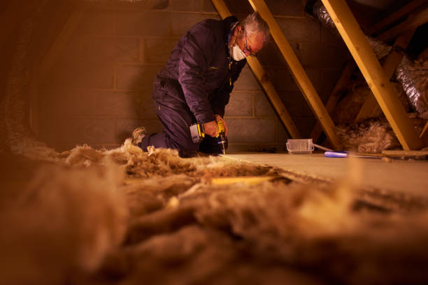 Best Cellulose Insulation in Collins, MS