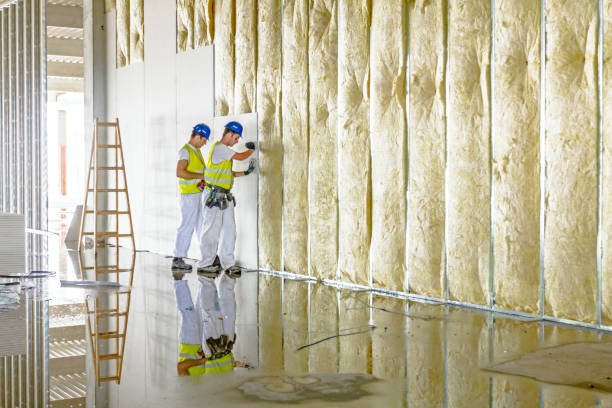 Best Spray Foam Insulation in Collins, MS